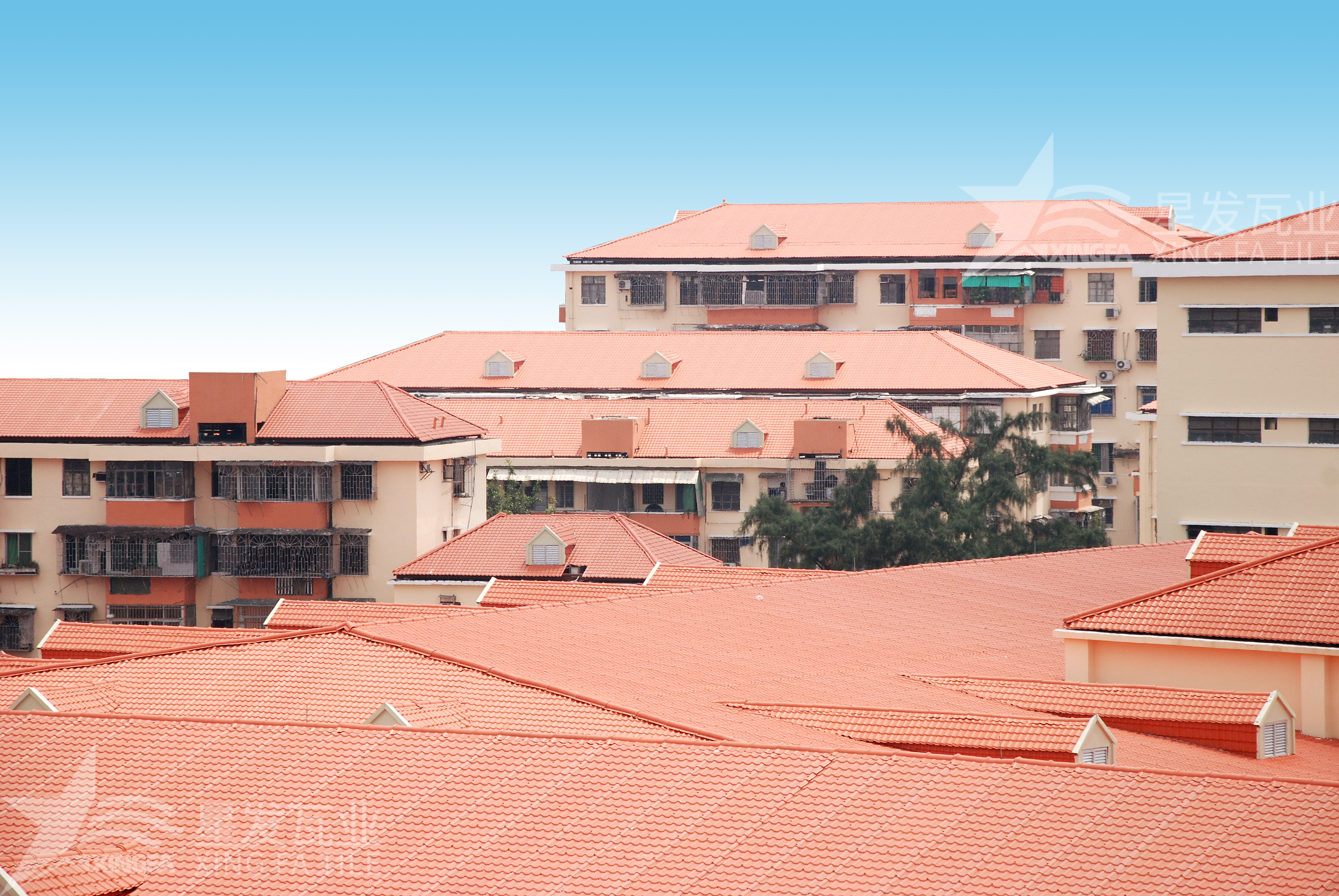 揭秘！居然還有人不知道合成樹(shù)脂瓦多少錢一方