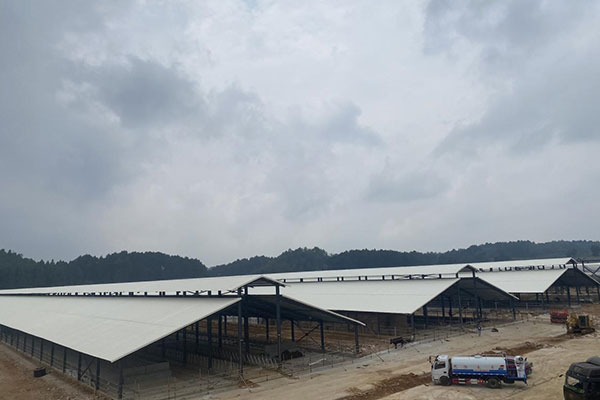 延長PVC瓦使用壽命的三大關鍵因素，千萬別忽視！